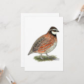 ボブホワイトクワールルースター カード (正面/裏面インサイチュ)