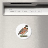 ボブホワイトクワールルースター マグネット (インサイチュ (食洗機))