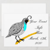 ボブホワイトブルーのスロートウズイルサンダー_コーブ (正面/裏面)