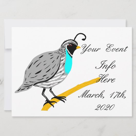 ボブホワイトブルーのスロートウズイルサンダー_コーブ (正面)