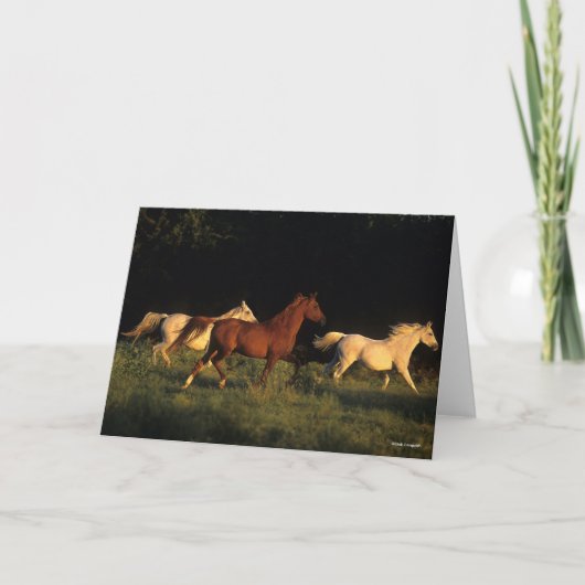 ボブラングリシュスリーアランニングラブズイン夕べライト カード (正面)