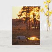 ボブラングリシュチンコテーグホースグレージングアットサンセット カード (黄色い花)