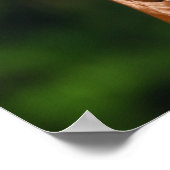 ボブラングリシュトナンドルチアンスタリオンヘッドショット ポスター (角)