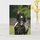 ボブラングリシュブラックアンドホワイトジプシーバナーヘッドショット カード (黄色い花)