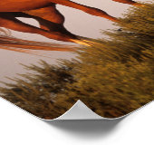 ボブラングリシュ3アラブの馬が日没に立つ ポスター (角)