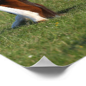 ボブラングリシュ |アイリッシュスポーツホースフォールの放牧 ポスター (角)