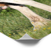 ボブラングリシュ |アイリッシュスポーツホースフォール非表示 ポスター (角)