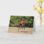 ボブラングリシュ |アカル・テケ・スタリオン・リーピング カード (黄色い花)