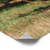 ボブラングリシュ |アパロオーサランニングホース ポスター (角)