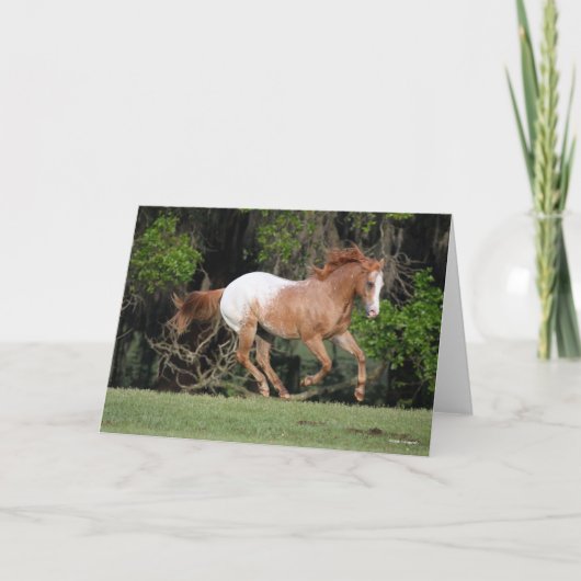 ボブラングリシュ |アパロランニングーサの カード (正面)