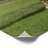 ボブラングリシュ |アパロランニングーサの ポスター (角)