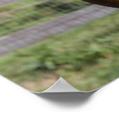 ボブラングリシュ |アラブのスタリオンがヘッドショットに立ち向かう ポスター (角)