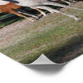 ボブラングリシュ |アラブの手綱と仲間の立ち並び ポスター (角)