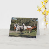 ボブラングリシュ |アラブの牧畜民と山林 カード (黄色い花)