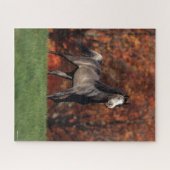 ボブラングリシュ |アラブの秋の背景 ジグソーパズル (横)