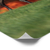 ボブラングリシュ |アラブの秋の背景 ポスター (角)