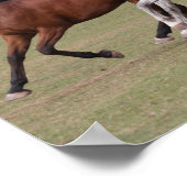 ボブラングリシュ |アラブの馬ランニング3頭が一緒に ポスター (角)