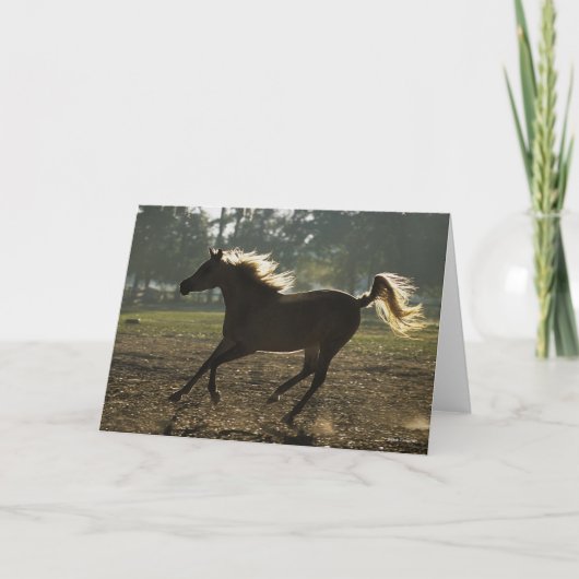 ボブラングリシュ |アラブランニングのバックライト カード (正面)