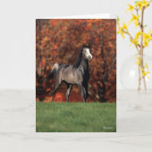 ボブラングリシュ |アラブ人の秋の風景 カード (黄色い花)