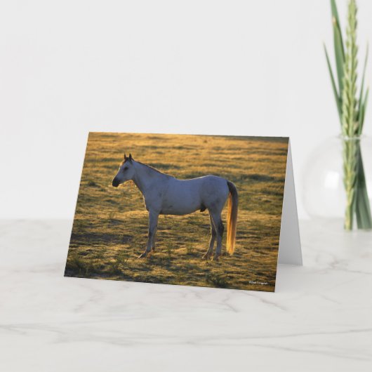 ボブラングリシュ |アラブ人スタンディングバックライト カード (正面)