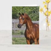 ボブラングリシュ |アラブ系スタリオンの立ったヘッドショット カード (黄色い花)