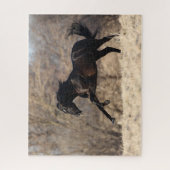 ボブラングリシュ |アンダルシアランニングン ジグソーパズル (縦)