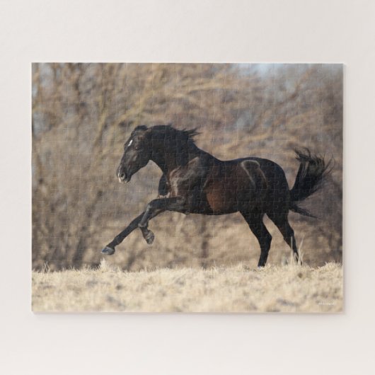 ボブラングリシュ |アンダルシアランニングン ジグソーパズル (横)