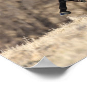 ボブラングリシュ |アンダルシアランニングン ポスター (角)