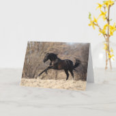 ボブラングリシュ |アンダルシアランニング カード (黄色い花)