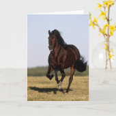 ボブラングリシュ |アンダルシアン・スタランニングリオン カード (黄色い花)