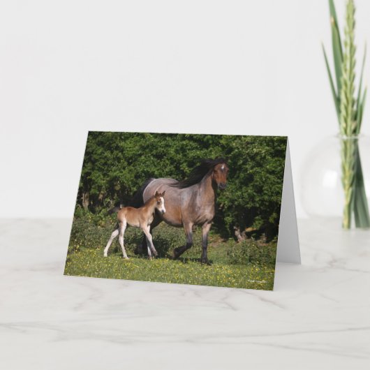 ボブラングリシュ |ウェルシュポニーマーレ&フォールランニングズ カード (正面)