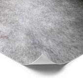 ボブラングリシュ |ウェールズのセクションAポニーのヘッドショット ポスター (角)