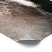 ボブラングリシュ |ウェールズのポニーマーレとフォーール ポスター (角)