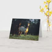 ボブラングリシュ |キガームスタング2台 カード (黄色い花)