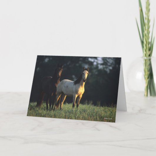 ボブラングリシュ |キガームスタング2台 カード (正面)