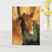 ボブラングリシュ |クォーターホースフォールヘッドショット カード (黄色い花)