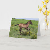 ボブラングリシュ |クォーターホースフォールランニングズ カード (黄色い花)