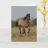 ボブラングリシュ |クオーターホランニングース・フラワーズ カード (黄色い花)