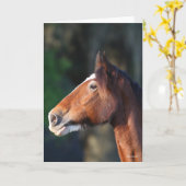 ボブラングリシュ |クライデスデールのヘッドショット カード (黄色い花)