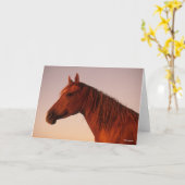 ボブラングリシュ |クリのアラブの馬の頭の上の夕日 カード (黄色い花)