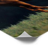 ボブラングリシュ |クリランニングナワルンボッド ポスター (角)