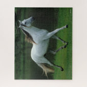 ボブラングリシュ |グレイ・アンダルシアランニングン・スタリオン ジグソーパズル (縦)