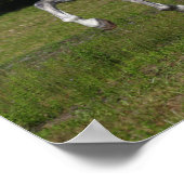 ボブラングリシュ |グレイ・アンダルシアランニングン・スタリオン ポスター (角)