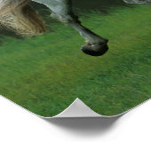 ボブラングリシュ |グレイ・アンダルシアランニングン・スタリオン ポスター (角)