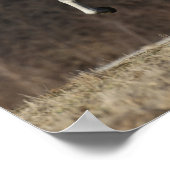 ボブラングリシュ |グレイ・アンダルシアランニングン ポスター (角)