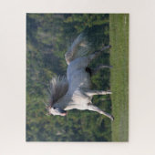 ボブラングリシュ |グレイ・ルシタノ・スタリオンランニングズ ジグソーパズル (縦)