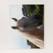 ボブラングリシュ |グレーのアラブスタリオンヘッドショットバックライト ジグソーパズル (縦)