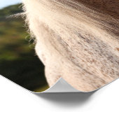 ボブラングリシュ |グレーのアラブスタリオンヘッドショットバックライト ポスター (角)