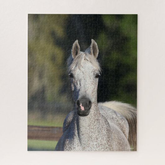 ボブラングリシュ |グレーアラブのヘッドショット ジグソーパズル (縦)