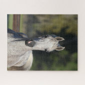 ボブラングリシュ |グレーアラブのヘッドショット ジグソーパズル (横)